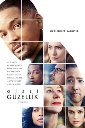 Gizli Güzellik izle