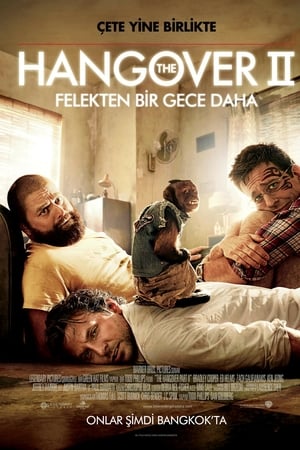 Felekten Bir Gece 2 izle