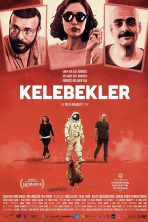 Kelebekler izle