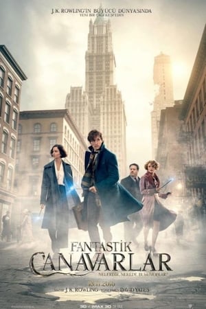 Fantastik Canavarlar Nelerdir, Nerede Bulunurlar? izle
