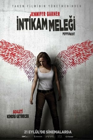 İntikam Meleği izle