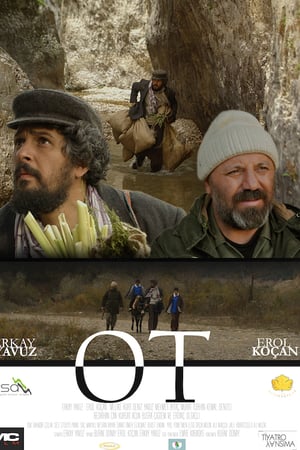 Ot izle