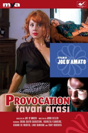 Tavan Arası izle
