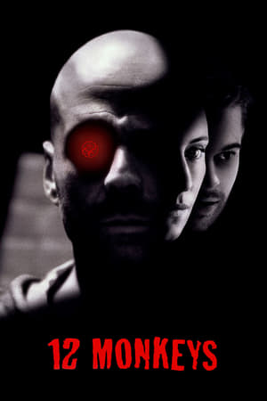 12 Maymun izle