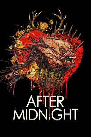 Gece Yarısından Sonra izle