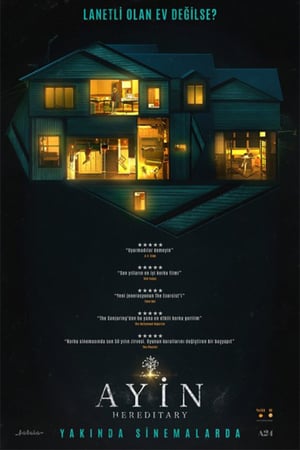 Ayin izle