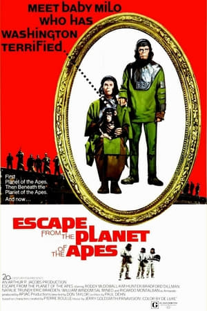 Maymunlar Cehenneminden Kaçış izle