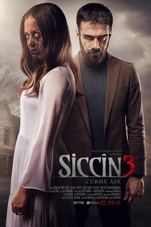 Siccîn 3: Cürmü Aşk izle