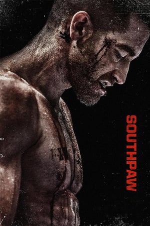 Son Şans izle