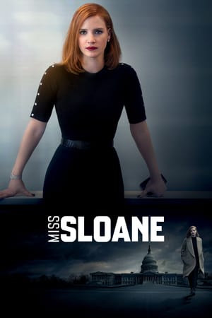 Bayan Sloane izle
