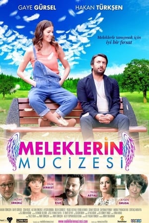 Meleklerin Mucizesi izle