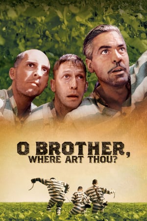 Nerdesin Be Birader? izle