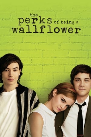 Saksı Olmanın Faydaları izle