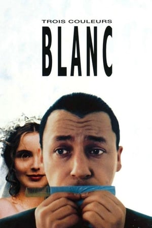 Üç Renk: Beyaz izle