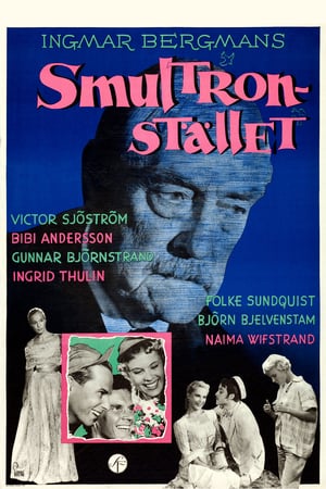Yaban Çilekleri izle