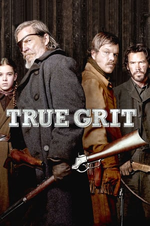 İz Peşinde izle
