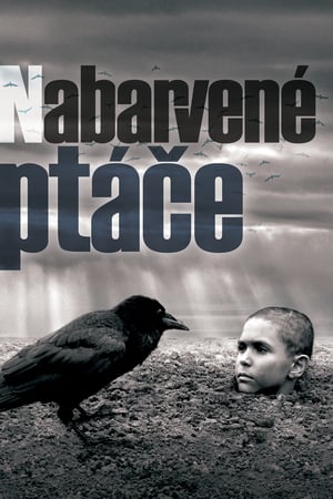 Boyalı Kuş izle