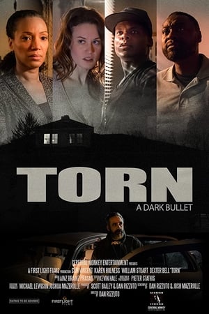 Yırtık: Kara Mermiler izle