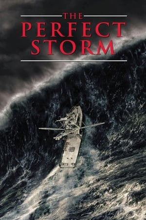 Kusursuz Fırtına izle
