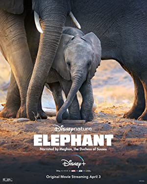 Fil izle