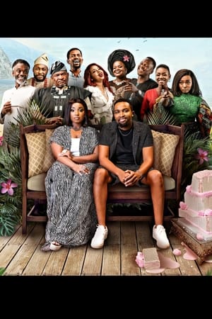 Disconnect: The Wedding Planner izle