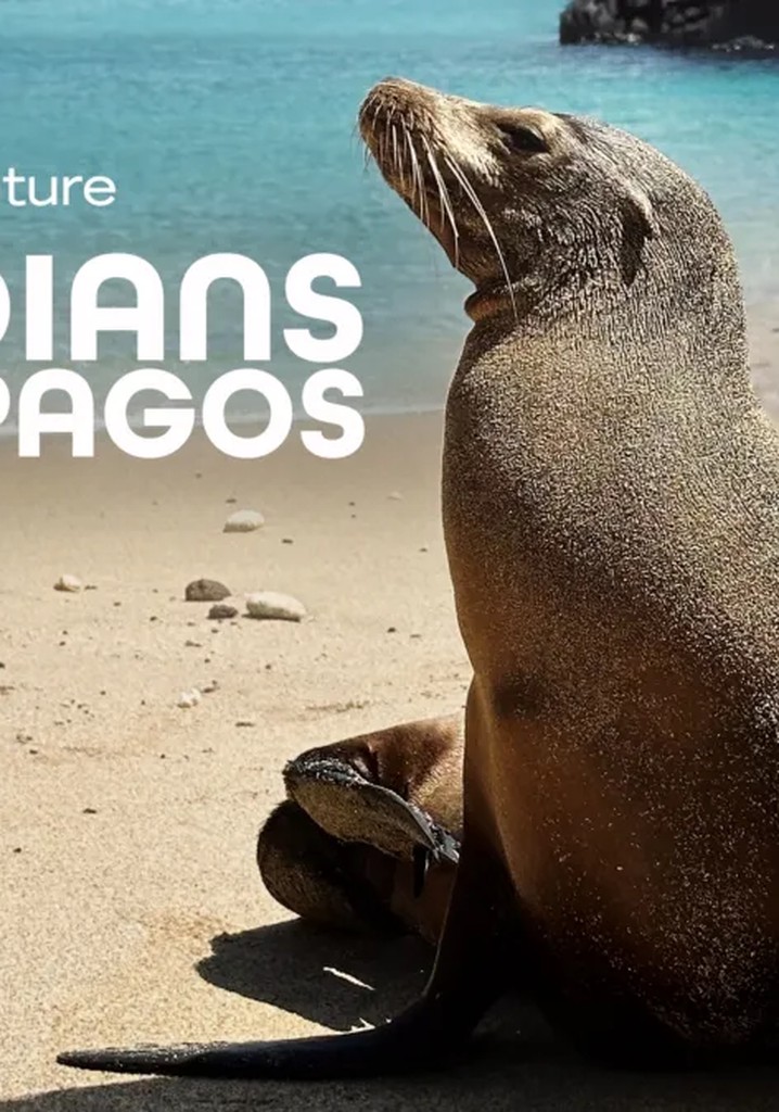 Galapagos’un Koruyucuları izle