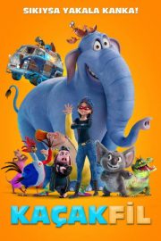 Kaçak Fil izle