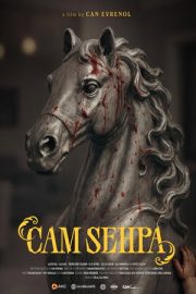 Cam Sehpa izle