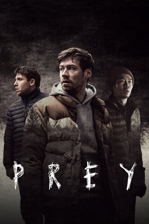 Av Günü izle