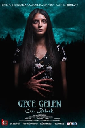 Gece Gelen: Cin Bebek izle