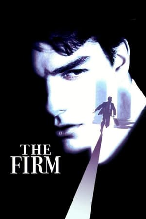 Şirket izle